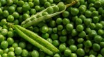 Garden peas for soup