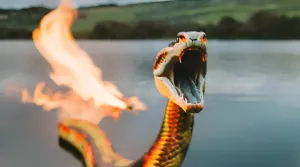 The Last Fire breathing serpent in Ireland